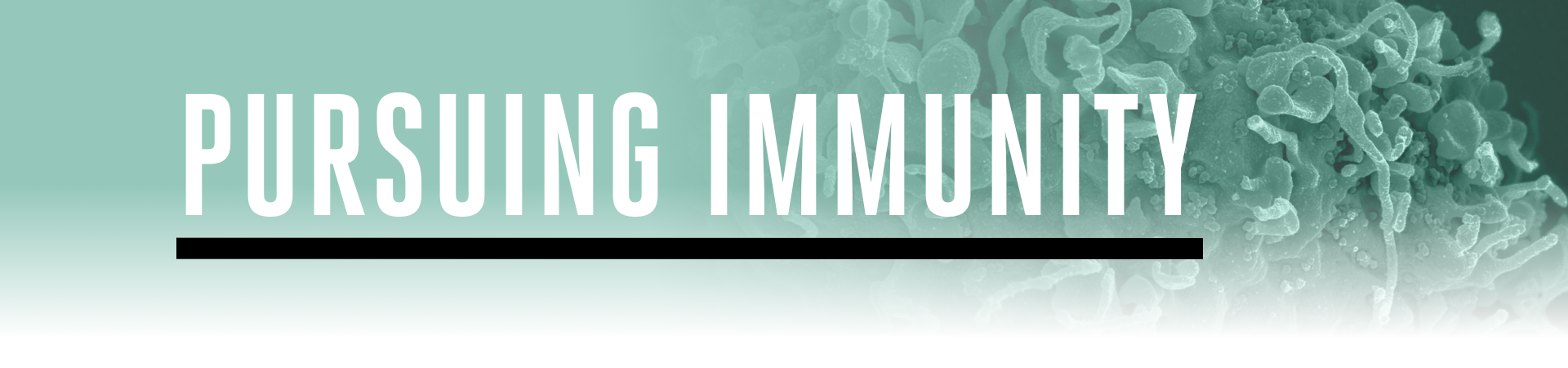 Pursuing Immunity