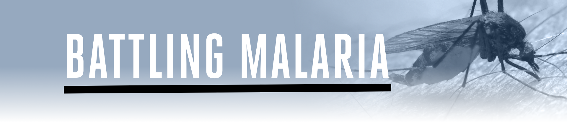 Battling Malaria